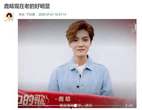 鹿晗巅峰爆料视频大全最新,揭秘爆料视频背后的精彩瞬间